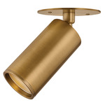 Caleb Ceiling Light - Patina Brass / Clear