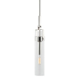Foxwich Pendant - Polished Nickel / Clear