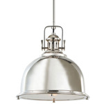 Stirling Pendant - Polished Nickel / Clear