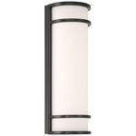 Cove Outdoor Dual Voltage Wall Light - Black / White