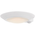 Ace Color-Select Motion Sensor Ceiling Light - White / White