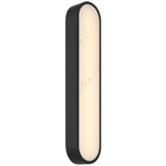 Sydney Color-Select Wall Light - Black / Alabaster