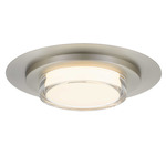Plate Color-Select Outdoor Ceiling Light - Brushed Stainless Steel / Frost