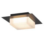 Foursquare Color-Select Outdoor Ceiling Light - Sand Black / Frost