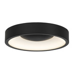 Stellar Color-Select Outdoor Ceiling Light - Sand Black / Etched White