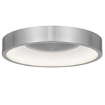 Stellar Color-Select Outdoor Ceiling Light - Brushed Aluminum / Etched White