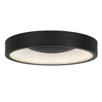 Stellar Color-Select Outdoor Ceiling Light - Sand Black / Etched White