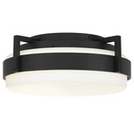 Ted Color-Select Outdoor Ceiling Light - Sand Black / Etched White Opal