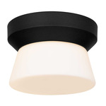 Skirt Color-Select Outdoor Ceiling Light - Sand Black / Etched White Opal