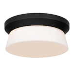 Skirt Color-Select Outdoor Ceiling Light - Sand Black / Etched White Opal