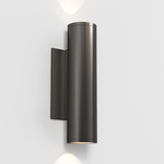 Ava Outdoor Wall Sconce - Brushed Gunmetal