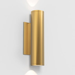Ava Outdoor Wall Sconce - Brushed Brass