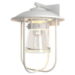 Erlenmeyer Large Outdoor Wall Sconce - Marine Grade White / Clear