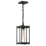 Cela Outdoor Pendant - Marine Grade Black / Clear