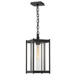 Cela Outdoor Pendant - Marine Grade Black / Clear