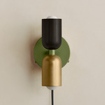 Up Down Plug-In Wall Sconce - Reed Green Canopy / Blackened Brass Upper Shade
