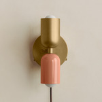 Up Down Plug-In Wall Sconce - Brass Canopy / Brass Upper Shade