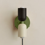 Up Down Plug-In Wall Sconce - Reed Green Canopy / Blackened Brass Upper Shade