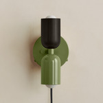 Up Down Plug-In Wall Sconce - Reed Green Canopy / Blackened Brass Upper Shade