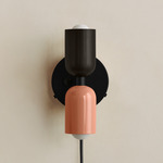 Up Down Plug-In Wall Sconce - Black Canopy / Blackened Brass Upper Shade