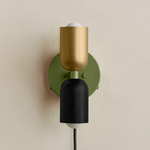 Up Down Plug-In Wall Sconce - Reed Green Canopy / Brass Upper Shade