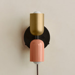 Up Down Plug-In Wall Sconce - Blackened Brass Canopy / Brass Upper Shade