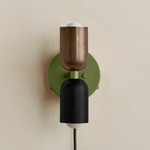 Up Down Plug-In Wall Sconce - Reed Green Canopy / Patina Brass Upper Shade