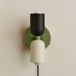 Up Down Plug-In Wall Sconce - Reed Green Canopy / Blackened Brass Upper Shade