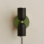 Up Down Plug-In Wall Sconce - Reed Green Canopy / Blackened Brass Upper Shade