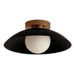 Arundel Orb Surface Mount - Patina Brass Canopy / Black Shade
