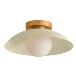 Arundel Orb Surface Mount - Brass Canopy / Bone Shade