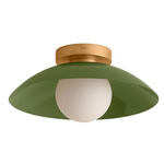 Arundel Orb Surface Mount - Brass Canopy / Reed Green Shade