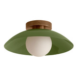 Arundel Orb Surface Mount - Patina Brass Canopy / Reed Green Shade