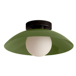Arundel Orb Surface Mount - Blackened Brass Canopy / Reed Green Shade