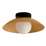 Arundel Orb Surface Mount - Black Canopy / Brass Shade