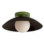 Arundel Orb Surface Mount - Reed Green Canopy / Blackened Brass Shade