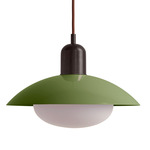 Arundel Mushroom Pendant - Blackened Brass / Reed Green Shade