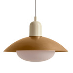 Arundel Mushroom Pendant - Bone / Brass Shade