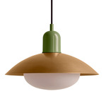 Arundel Mushroom Pendant - Reed Green / Brass Shade