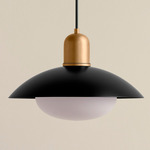 Arundel Mushroom Outdoor Pendant - Brass / Black Shade