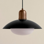 Arundel Mushroom Outdoor Pendant - Patina Brass / Black Shade