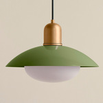 Arundel Mushroom Outdoor Pendant - Brass / Reed Green Shade