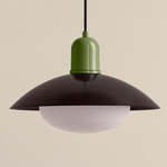 Arundel Mushroom Outdoor Pendant - Reed Green / Blackened Brass Shade
