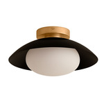 Arundel Mushroom Outdoor Surface Mount - Brass Canopy / Black Shade