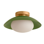 Arundel Mushroom Outdoor Surface Mount - Brass Canopy / Reed Green Shade