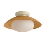 Arundel Mushroom Outdoor Surface Mount - Bone Canopy / Brass Shade