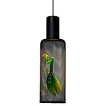 Curio Small Pendant - Black / Praying Mantis