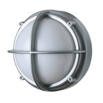 Skot Outdoor Wall Sconce - Silver Grey / Opal