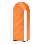 Igloo Wall Light - Black / Orange
