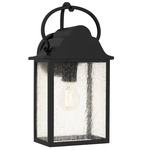 Damian Outdoor Wall Sconce - Matte Black / Clear